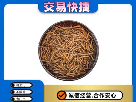 淳安县高价回收散虫草